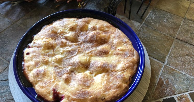 Treat Tuesday-Easy Cranberry and Apple Cake